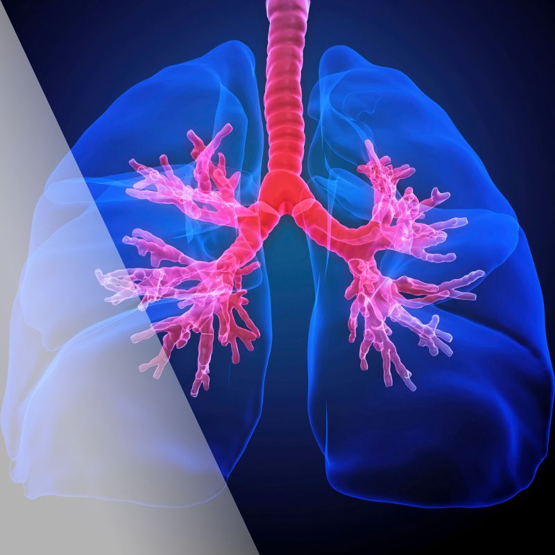 How Acupuncture Can Improve Lung Health » Columbus Acupuncture LLC